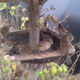 photo 2019-12-12 11-28-08