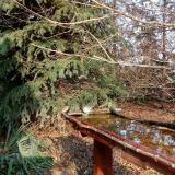 photo 2021-11-14 13-24-53