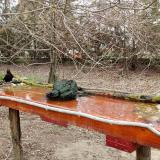 photo 2021-03-25 09-24-07