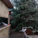 photo 2021-12-31 15-46-41