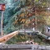 photo 2023-10-01 07-09-31