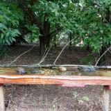 photo 2021-08-01 10-51-57