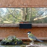 photo 2023-10-26 15-25-12