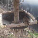 photo 2019-03-15 08-05-50