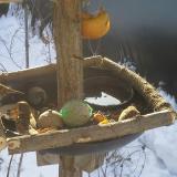 photo 2019-01-27 09-17-31