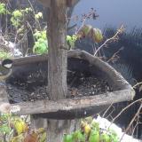 photo 2019-12-02 08-32-58