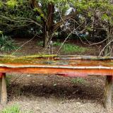 photo 2021-04-15 12-28-26