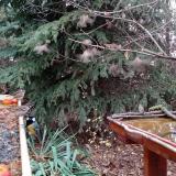 photo 2021-11-13 11-46-51