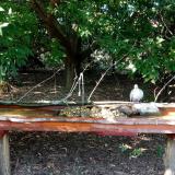 photo 2021-09-05 16-14-00