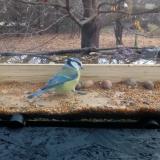 photo 2021-11-10 10-06-34