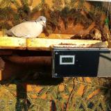 photo 2021-02-22 15-56-36