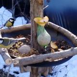 photo 2019-01-14 09-15-23