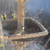 photo 2019-12-30 12-12-38