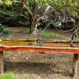 photo 2021-04-20 09-27-19