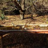 photo 2021-10-25 14-25-58