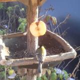 photo 2019-12-03 13-40-36