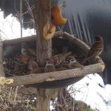 photo 2019-02-01 11-37-36