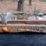 photo 2021-11-07 13-45-45