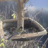 photo 2019-12-26 12-28-13