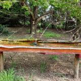 photo 2021-04-27 09-08-25