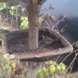 photo 2019-12-12 11-56-39