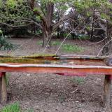 photo 2021-04-16 18-12-29