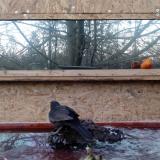 photo 2022-01-23 16-20-32