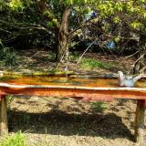 photo 2021-04-21 10-56-23