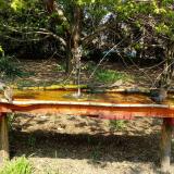 photo 2021-04-21 12-52-24