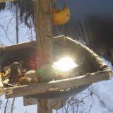 photo 2019-01-27 10-12-17