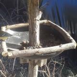 photo 2019-03-06 14-41-56