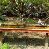 photo 2021-04-22 14-25-50