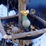 photo 2019-01-14 12-47-58