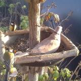 photo 2019-12-08 14-25-59