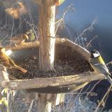 photo 2019-12-30 14-46-56