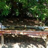 photo 2021-09-26 11-50-39