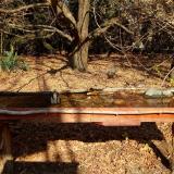 photo 2021-10-27 11-50-48