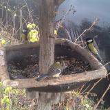 photo 2019-12-22 14-23-39