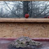 photo 2022-01-16 07-54-45