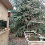 photo 2021-12-26 14-07-12