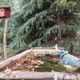 photo 2023-10-09 12-16-46