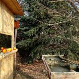 photo 2021-12-22 10-23-58