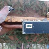 photo 2021-02-28 07-00-58