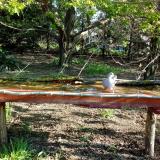 photo 2021-04-24 07-53-56