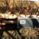 photo 2021-02-14 14-41-59