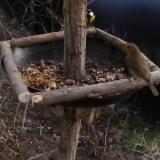 photo 2019-01-04 14-14-12