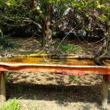 photo 2021-04-21 12-52-02