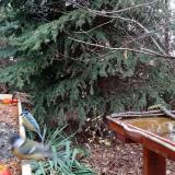 photo 2021-11-13 11-45-40