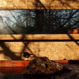 photo 2022-01-24 08-59-40