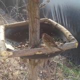 photo 2019-03-01 09-30-48